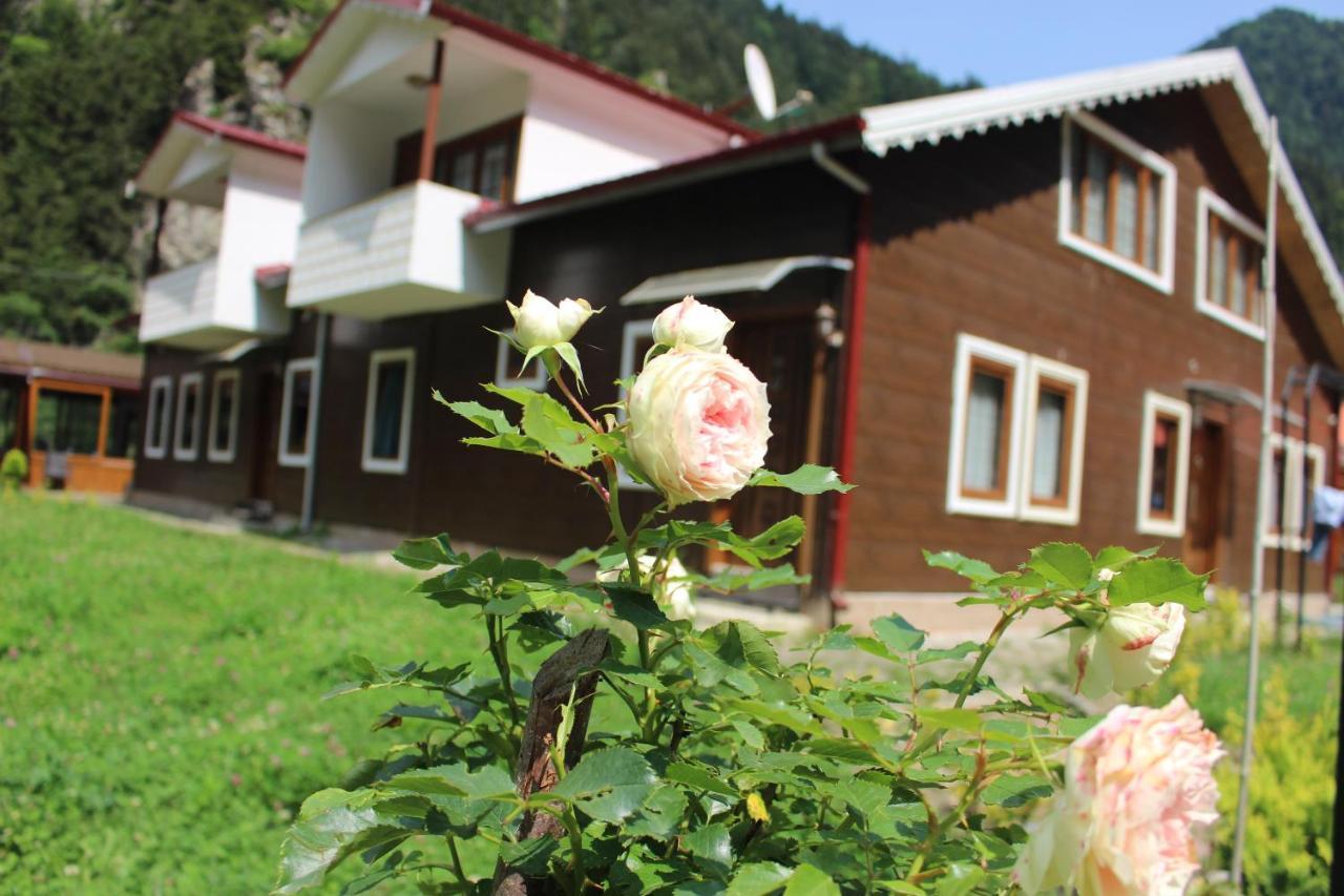 Uzungol Selale Otel Bungalow Esterno foto