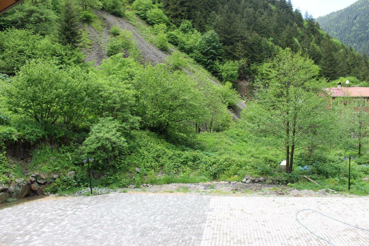 Uzungol Selale Otel Bungalow Esterno foto